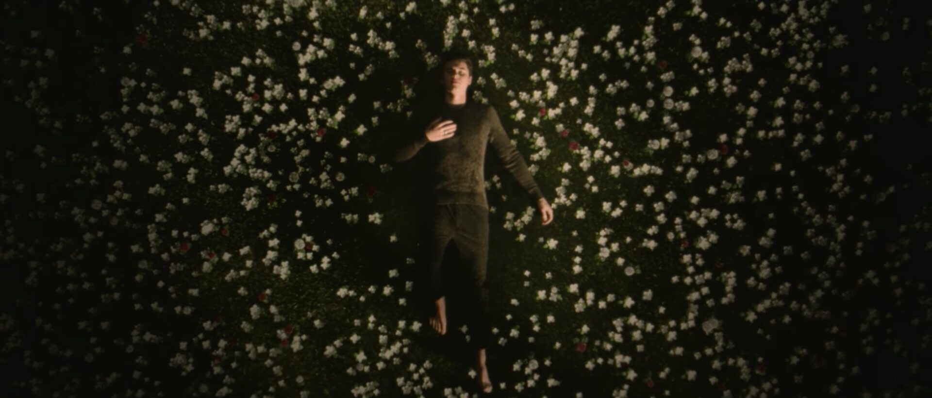Shawn Mendes shares simply beautiful video for “In My Blood”