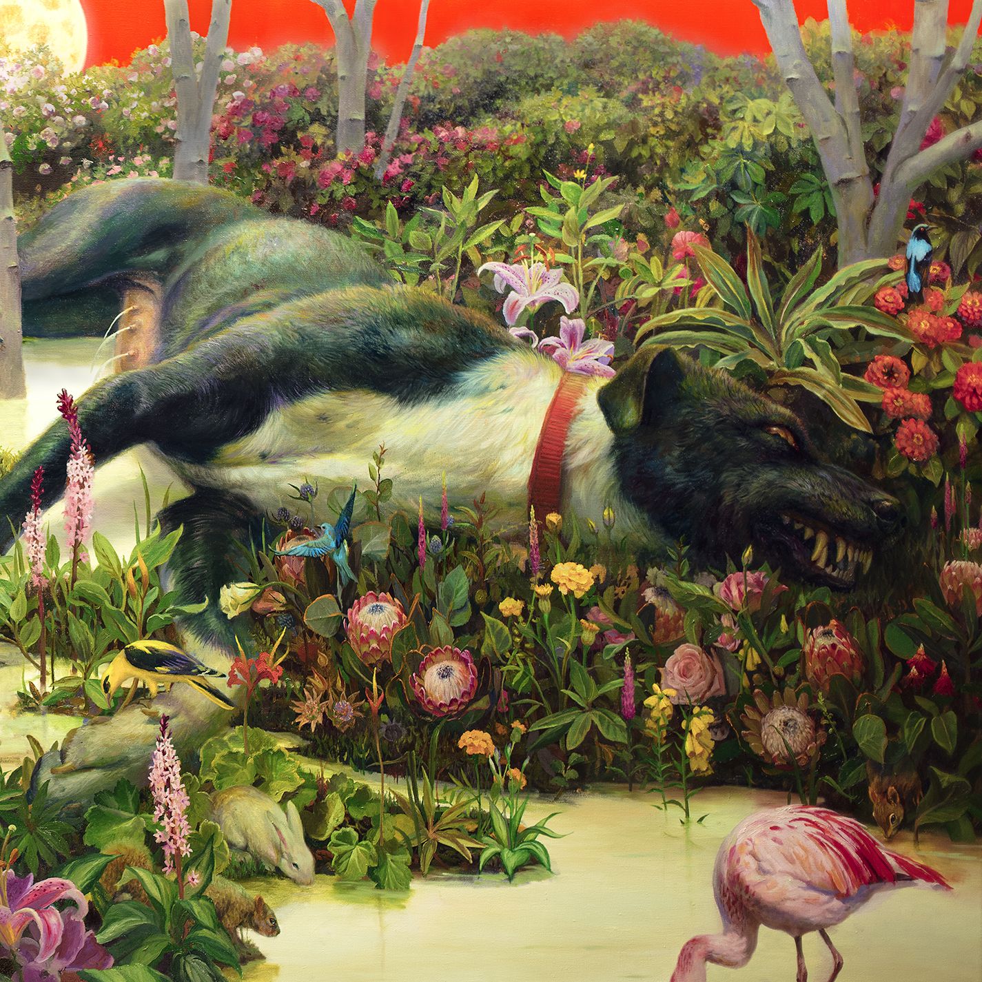 Rival Sons announce North American headlining tour