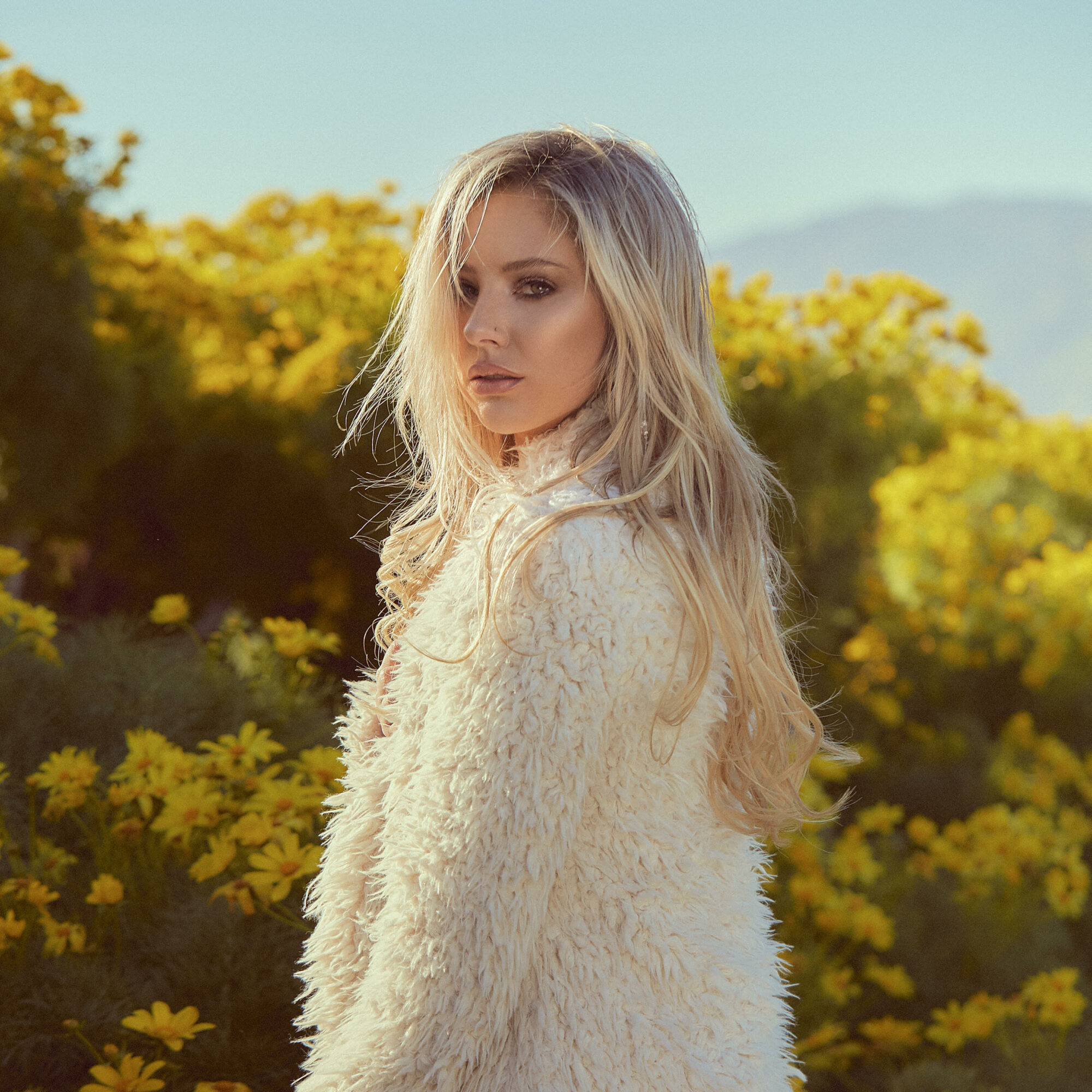 Crazy 2000 Stream Crazy 2000 Stream