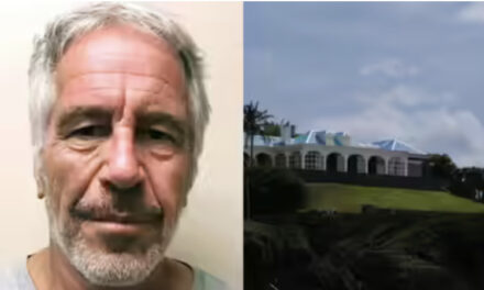 No Verified Evidence Shows Musicians Visited Epstein’s Private Island